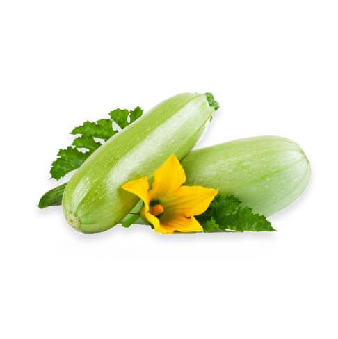Zucchini Vegetable Marrow