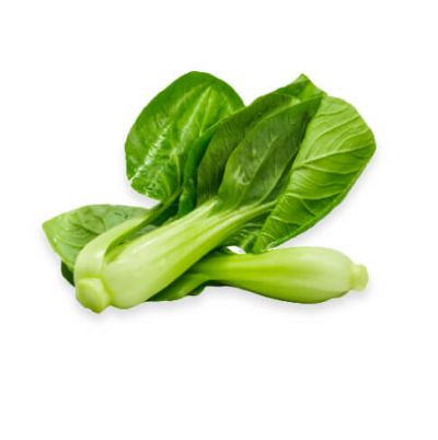 Chinese Cabbage